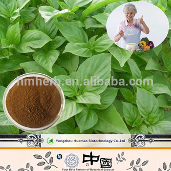 Basil Extract