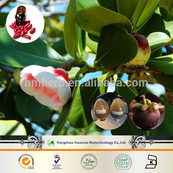 High quality Mangosteen Extract powder for anti-microbial,anti-AIDS,anti-malaria,Antioxidant 10%-90% alpha Mangostin 